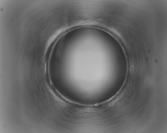 X0000067391414200604131920