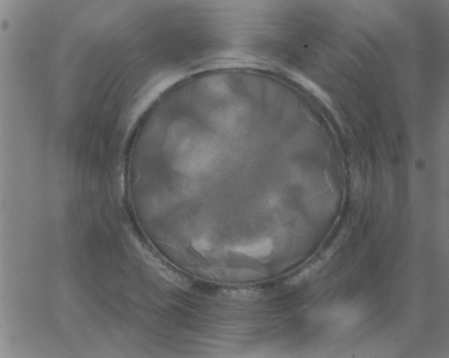 X0000067391415200604131920