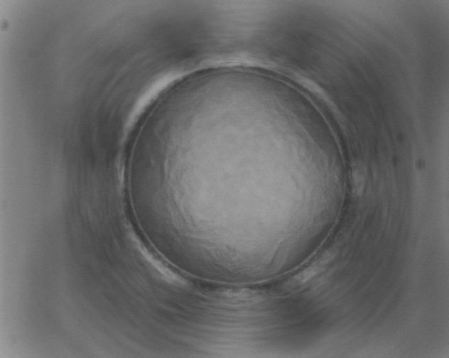 X0000067391416200604131920