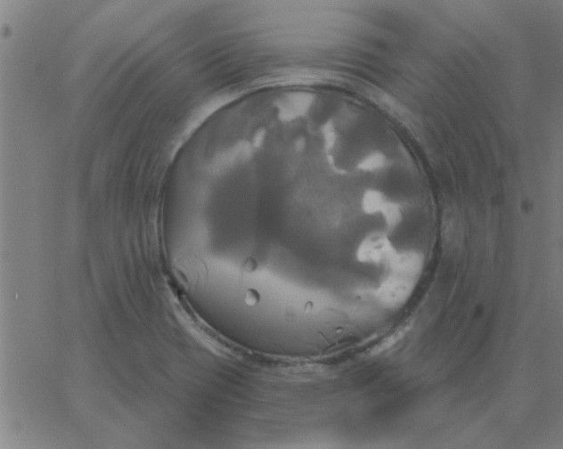 X0000067391417200604131920