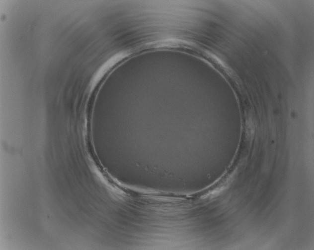 X0000067391418200604131920