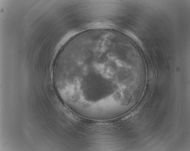 X0000067391419200604131920