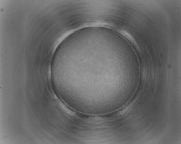 X0000067391420200604131920