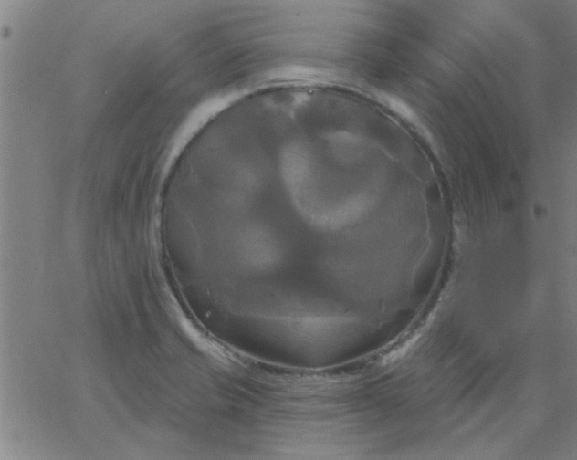 X0000067391421200604131920