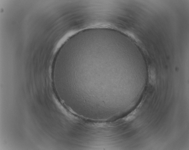 X0000067391422200604131920