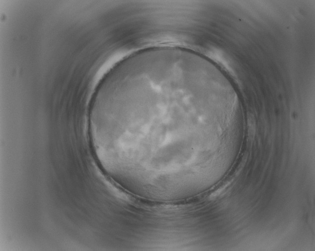 X0000067391424200604131920