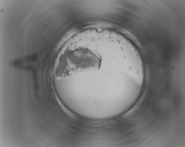 X0000067391425200604131920