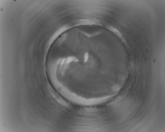 X0000067391427200604131920