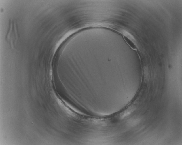 X0000067391428200604131920