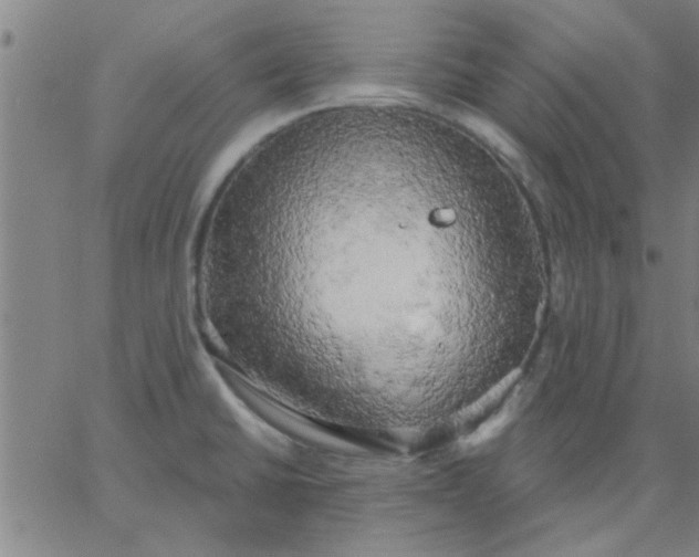 X0000067391430200604131920