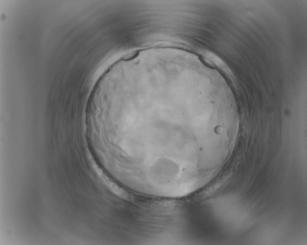 X0000067391431200604131920