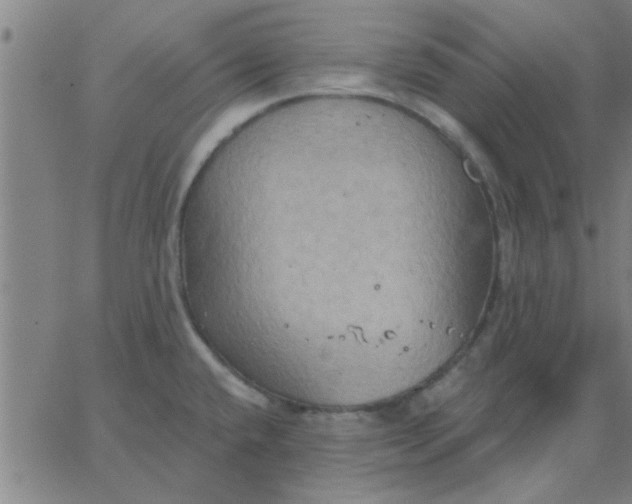 X0000067391432200604131920