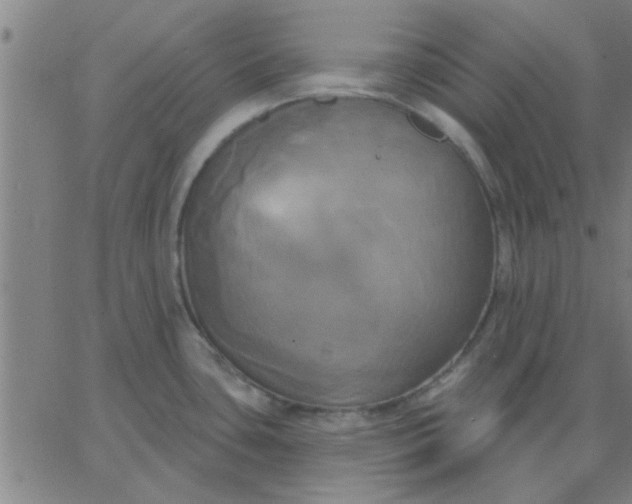 X0000067391435200604131920