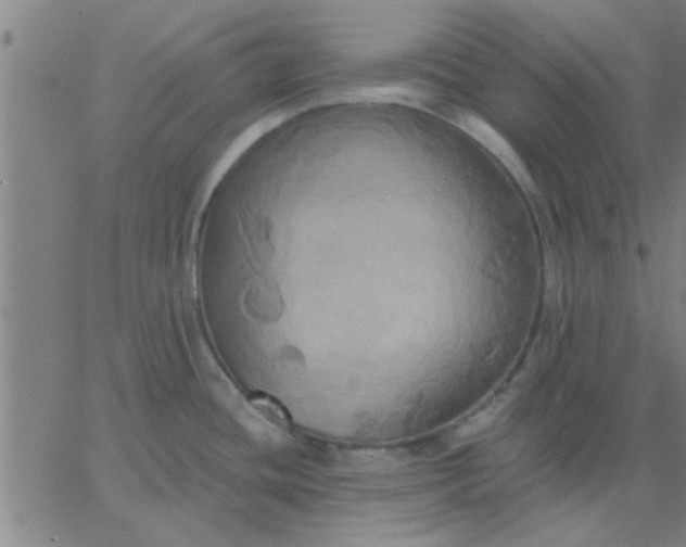 X0000067391436200604131920