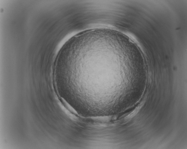 X0000067391438200604131920