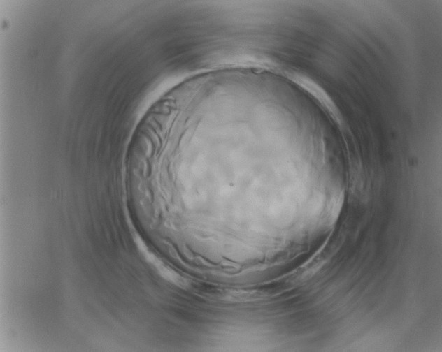 X0000067391439200604131920