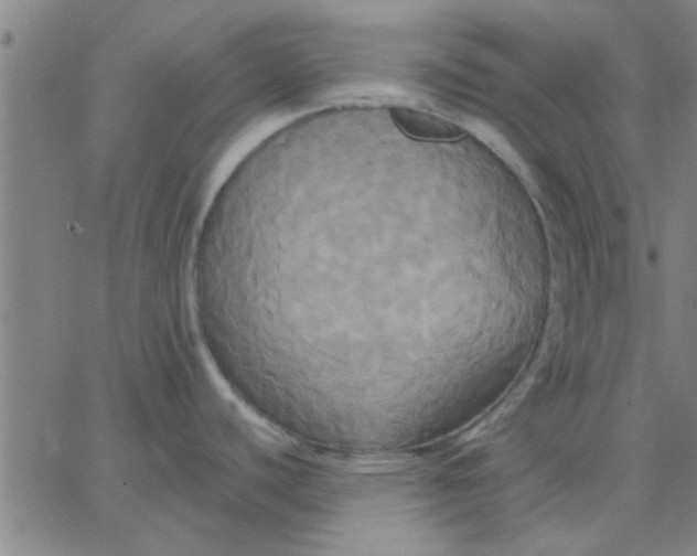 X0000067391440200604131920