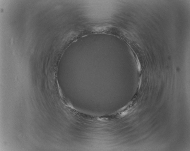 X0000067391441200604131920