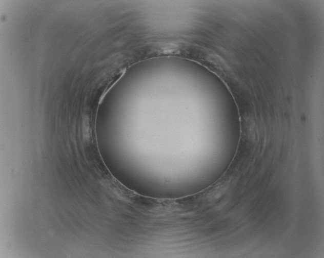 X0000067391442200604131920