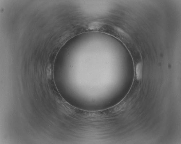 X0000067391443200604131920