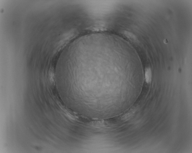 X0000067391444200604131920