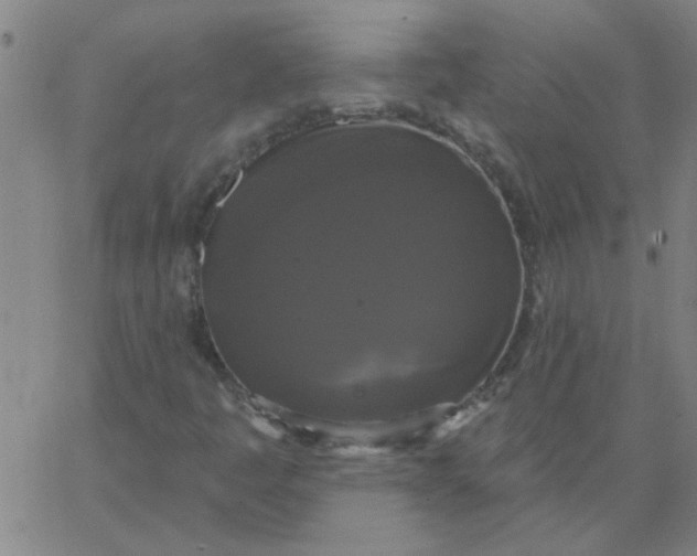 X0000067391445200604131920