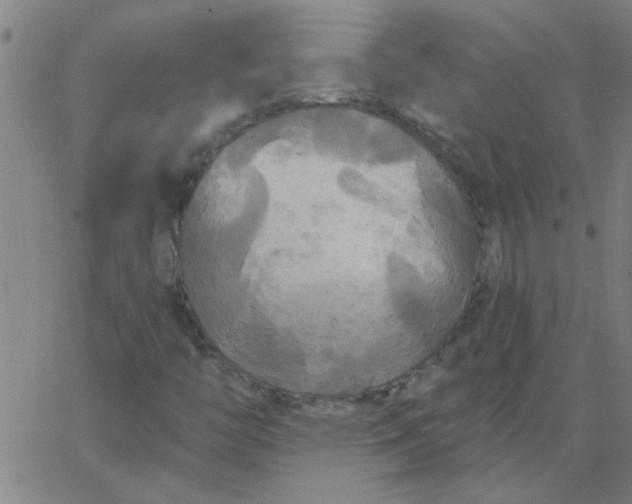 X0000067391446200604131920