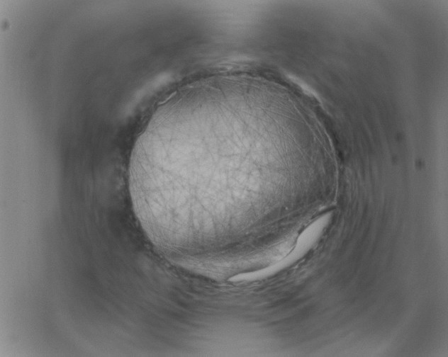 X0000067391447200604131920