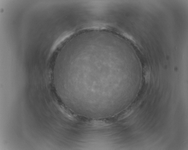 X0000067391448200604131920