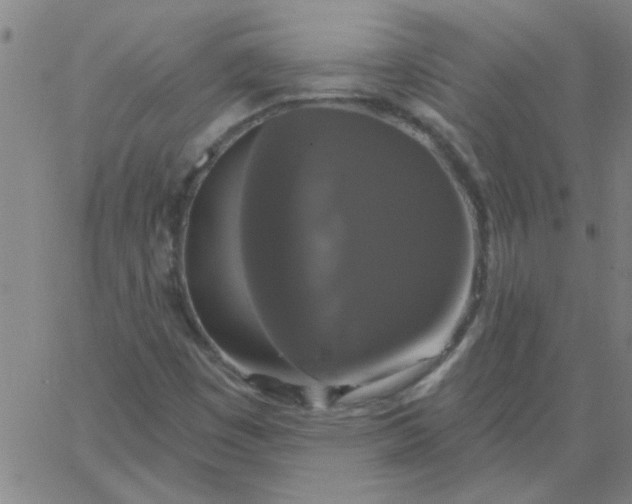 X0000067391449200604131920