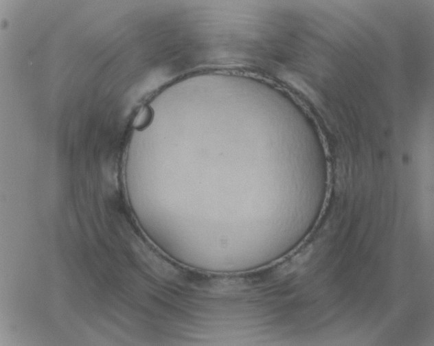 X0000067391451200604131920