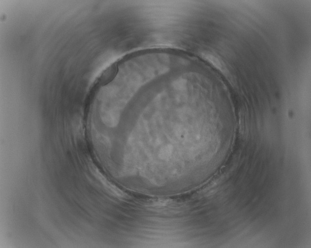 X0000067391452200604131919