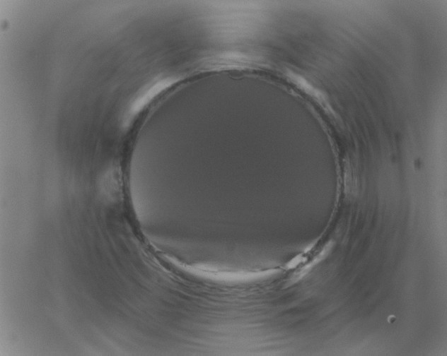 X0000067391453200604131919