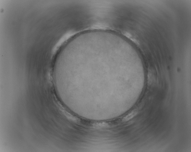 X0000067391454200604131919