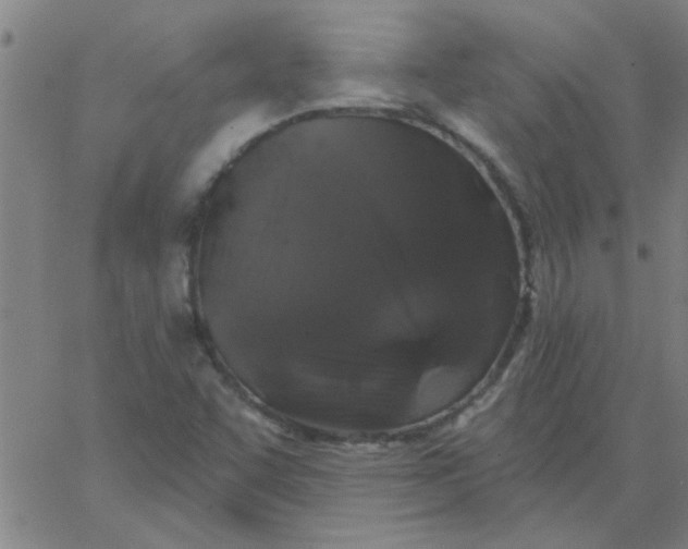 X0000067391455200604131919