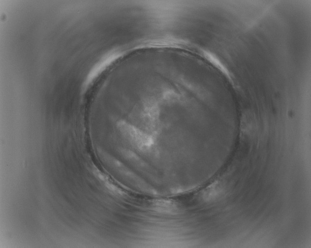 X0000067391456200604131919