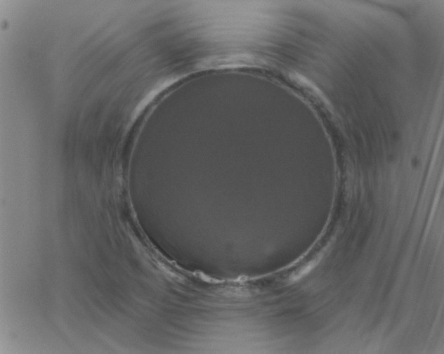 X0000067391457200604131919