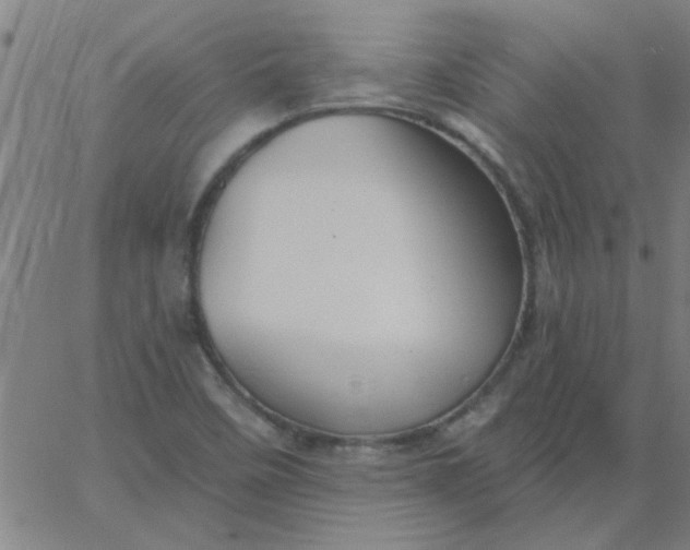 X0000067391458200604131919