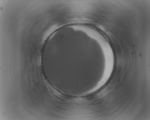 X0000067391459200604131919