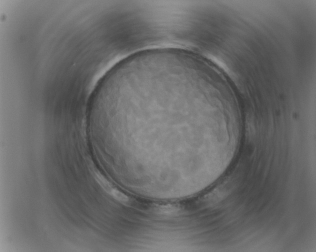 X0000067391460200604131919