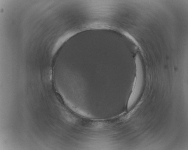 X0000067391461200604131919