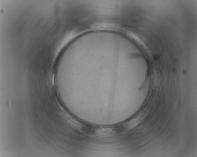 X0000067391462200604131919