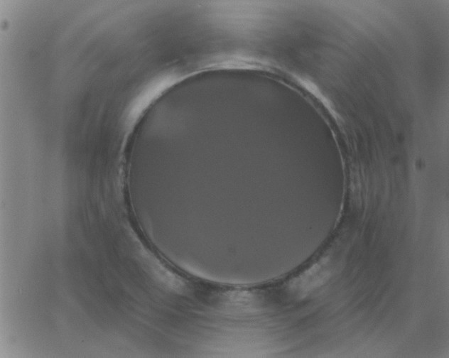 X0000067391463200604131919