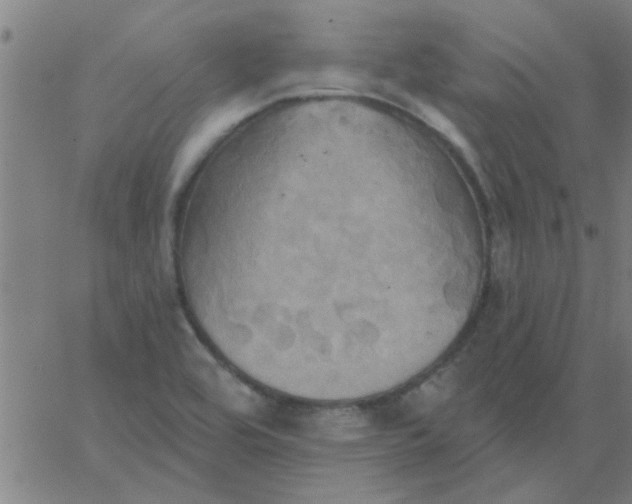 X0000067391464200604131919