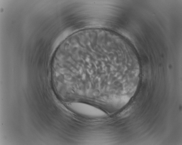 X0000067391467200604131919