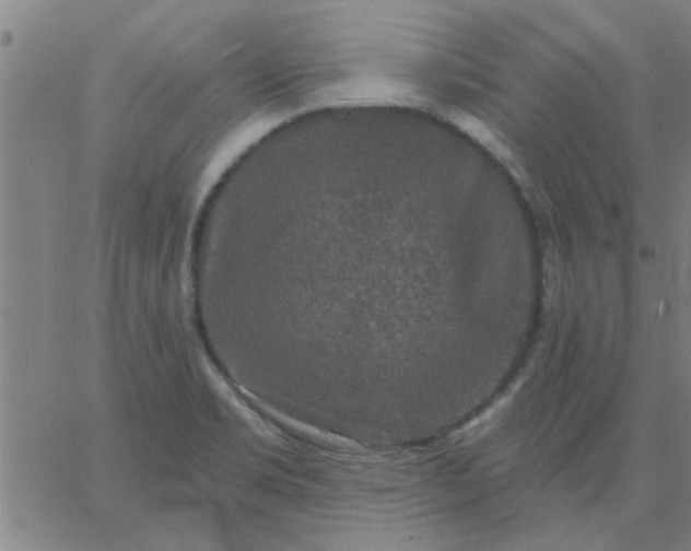 X0000067391469200604131919