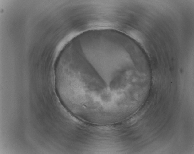 X0000067391472200604131919