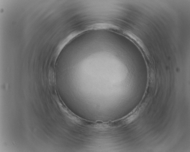 X0000067391473200604131919