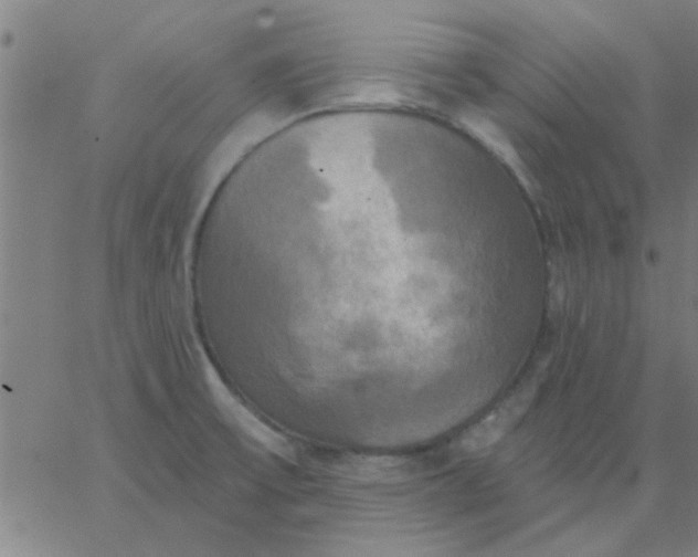 X0000067391475200604131919