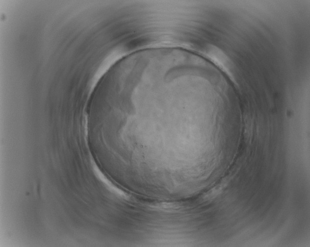 X0000067391476200604131919